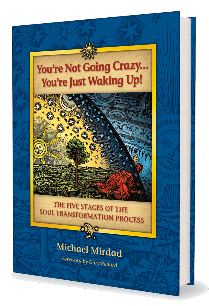 You're Not Going Crazy...You're Just Waking Up by Michael Mirdad