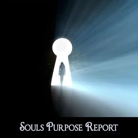 Soul's Purpose-Career Insight Report