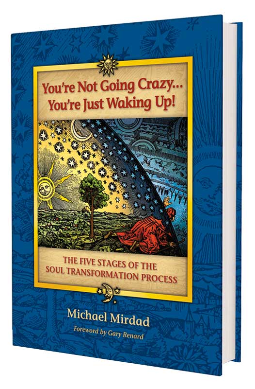 Youre Not Going Crazy, Youre Just Waking Up by Michael Mirdad